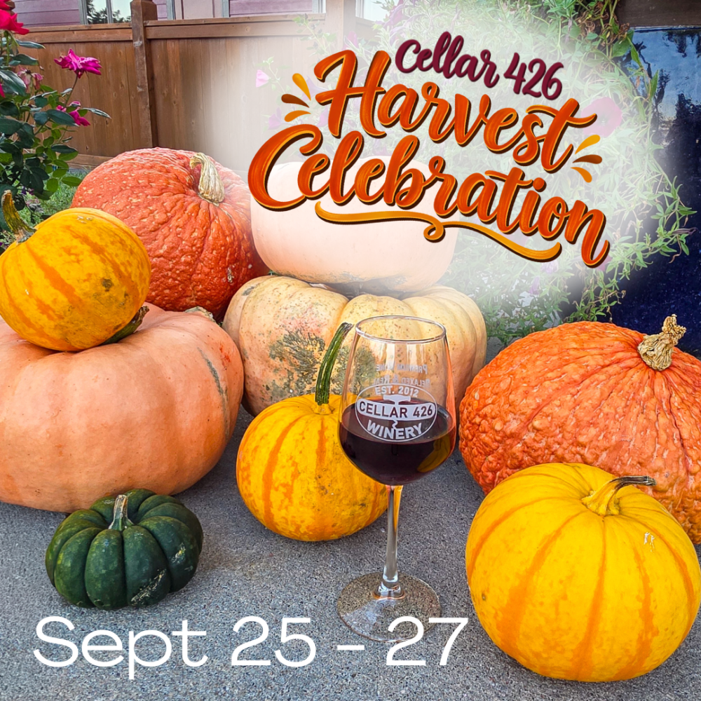 Pumpkins with wine