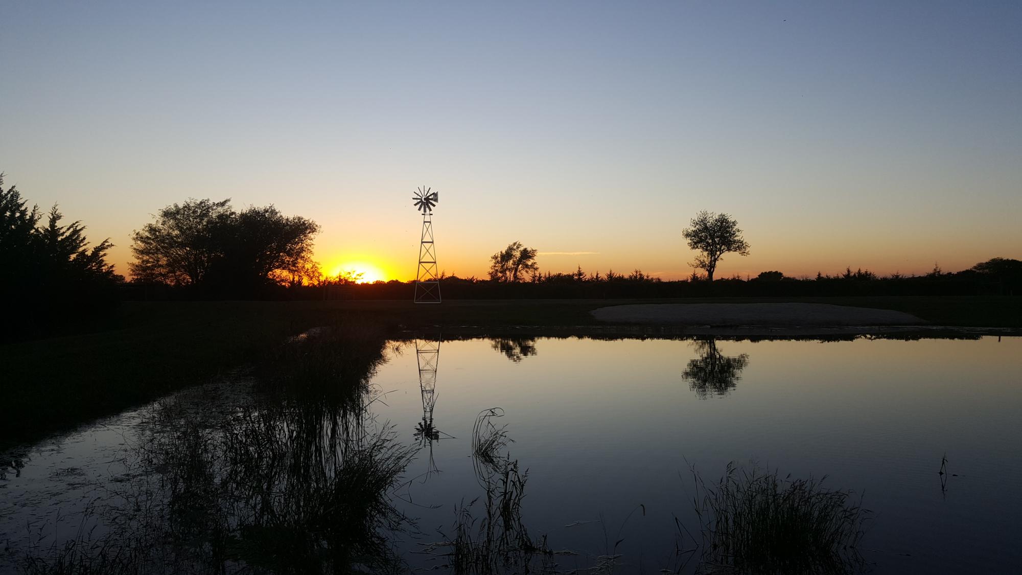 sunset on pond