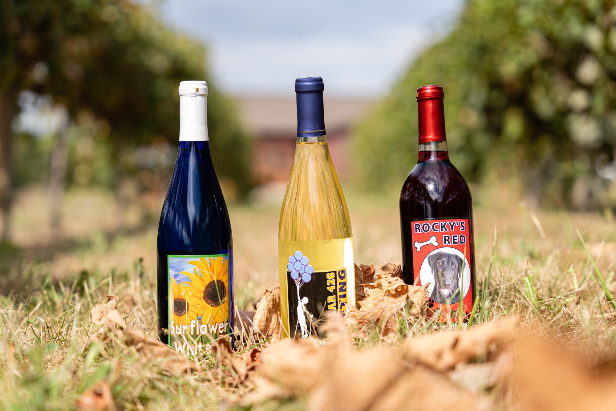 Wine and Ciders