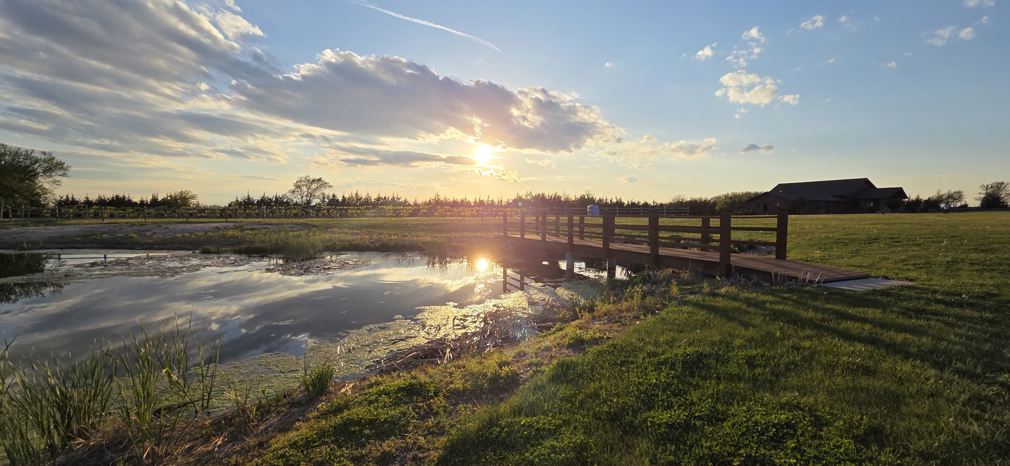 pond at sunset