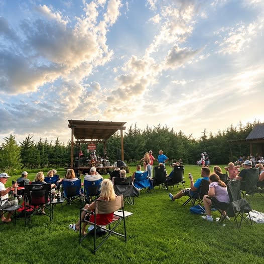 Band stand with guests