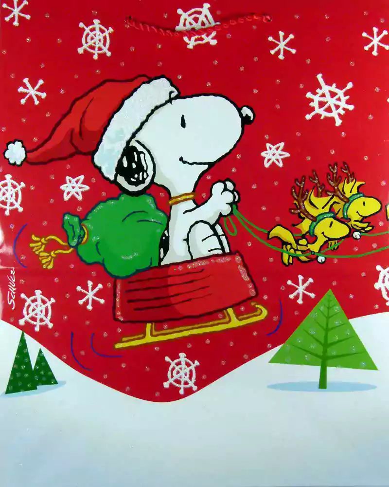 Snoopy in a sleigh