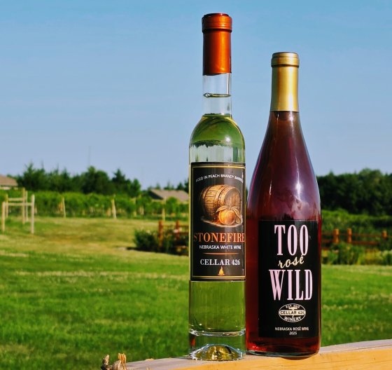 2 bottles of wine at the beach