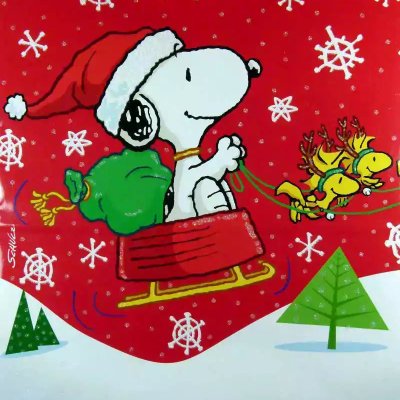 Snoopy in a sleigh